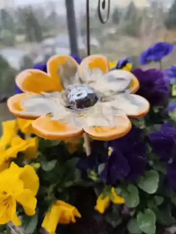 kwiat ceramiczny poidło