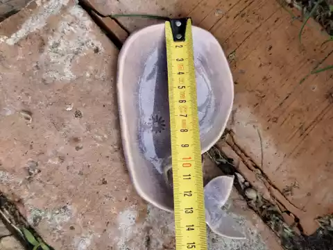 Pojemnik ceramiczny delfinek
