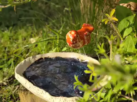 Poidło ceramiczne z czerwonym ptaszkiem