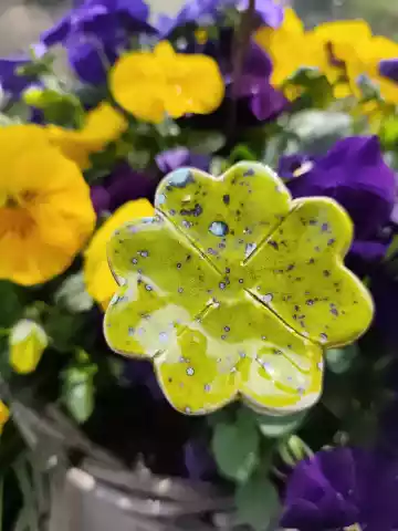 koniczyna ceramiczna