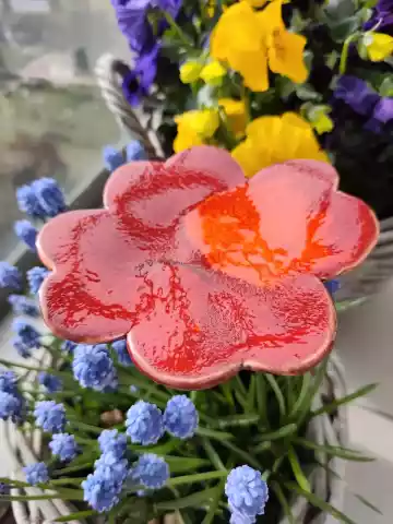 koniczyna ceramiczna poidło