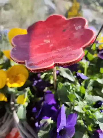 koniczyna ceramiczna