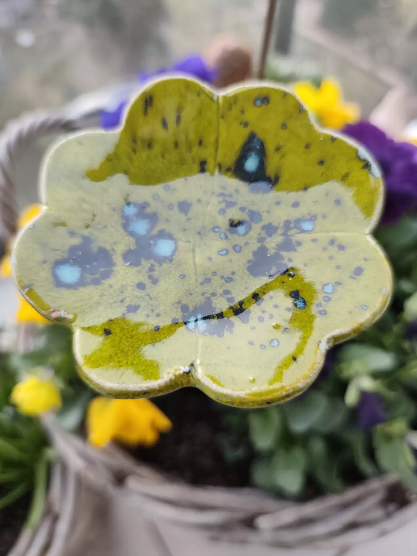 koniczyna ceramiczna poidło