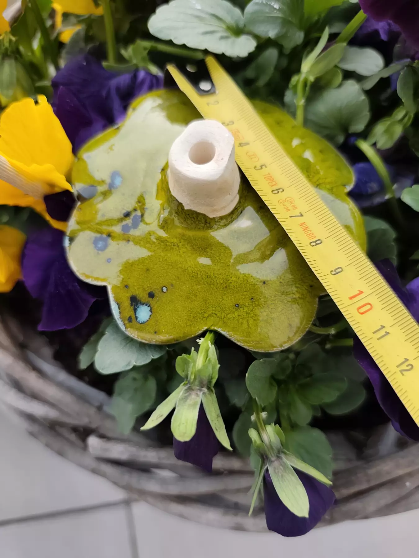 koniczyna ceramiczna poidło