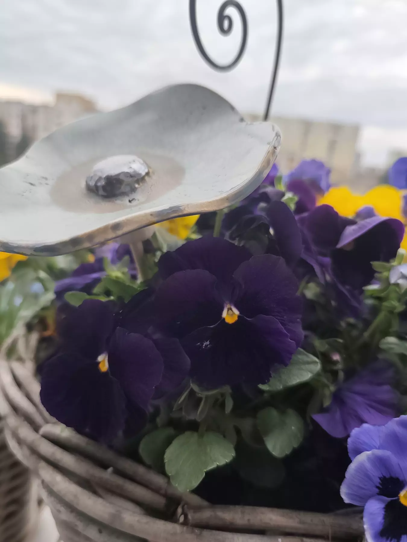 kwiat ceramiczny poidło